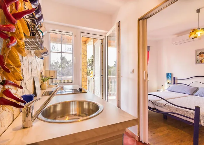 Sandor (adults Only)